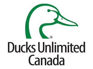 ducks unlimited